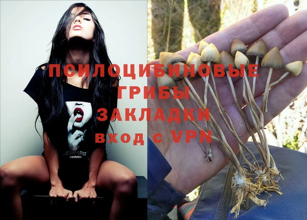 марки nbome Медвежьегорск