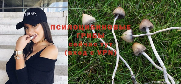 apvp Арсеньев