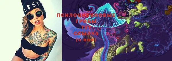 apvp Арсеньев